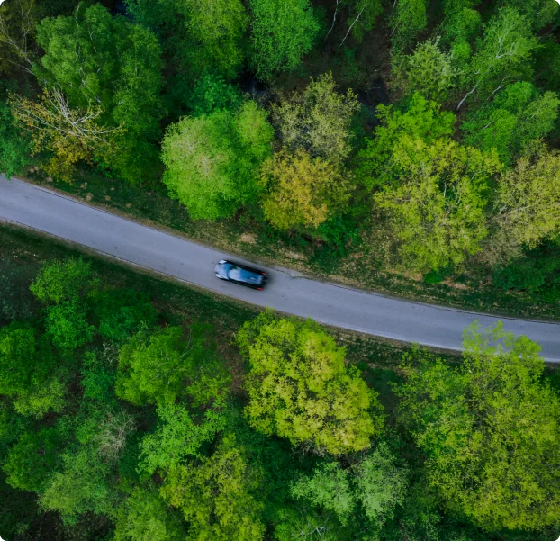 Car in green Area
