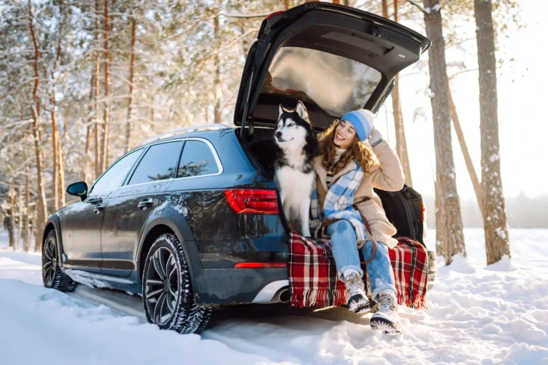 Ceramic coating and PPF winter car care tips for clients - Young woman with her husky dog have a picnic in car trunk near a pine forest, traveling by car during winter holidays. Travel concept.